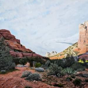 Arizona Desert (Original)