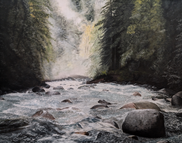 Misty Forest River