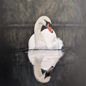Swan